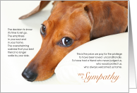Smooth Dachshund Dog Pet Sympathy Euthanasia card