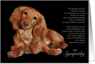 Longhaired Dachshund Dog Pet Sympathy Euthanasia card