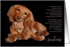 Longhaired Dachshund Dog Pet Sympathy Euthanasia card