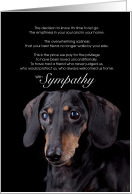 Two Colored Dachshund Dog Pet Sympathy Euthanasia card
