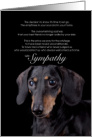 Two Colored Dachshund Dog Pet Sympathy Euthanasia card