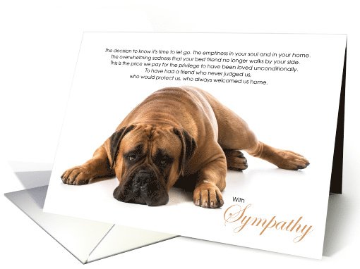 Mastiff Dog Pet Sympathy Euthanasia card (1516994)