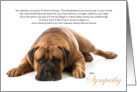 Mastiff Dog Pet Sympathy Euthanasia card