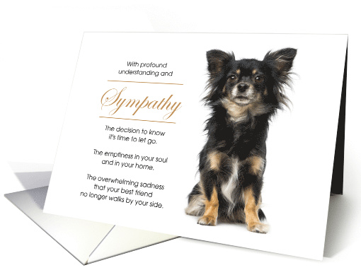 Long Coat Chihuahua Dog Pet Sympathy Euthanasia card (1517012)