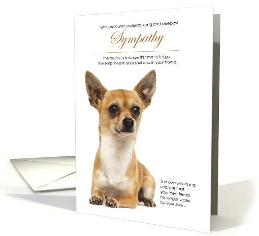 SmoothCoat Chihuahua Dog Pet Sympathy Euthanasia card (1517026)