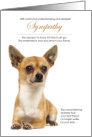 SmoothCoat Chihuahua Dog Pet Sympathy Euthanasia card