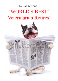 Funny Veterinarian...