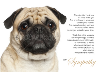 Pug Dog Pet Sympathy...