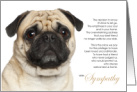 Pug Dog Pet Sympathy Euthanasia Breed Specific card