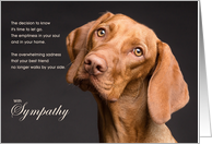 Viszla Dog Pet Sympathy Euthanasia card