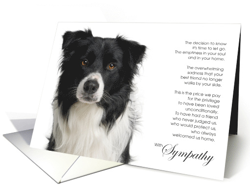 Border Collie Dog Pet Sympathy Euthanasia card (1518326)