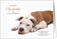 Pit Bull Dog Pet Sympathy Euthanasia card