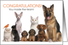 You Made the Team! Congratulations Pet Lover card