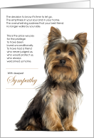 Yorkshire Terrier Dog Pet Sympathy Euthanasia card