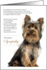 Yorkshire Terrier Dog Pet Sympathy Euthanasia card