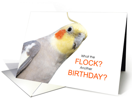 Funny Birthday Pied Cockatiel Pet Bird card (1520122)