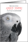 African Grey Parrot Funny Birthday for Bird Lovers card