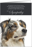 Australian Shepherd Dog Pet Sympathy Euthanasia card