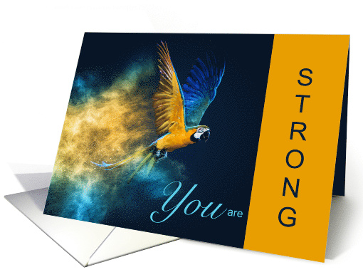 Blue and Gold Macaw Encouragement for Bird Lover card (1522232)