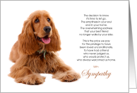Cocker Spaniel Dog Pet Sympathy Euthanasia card