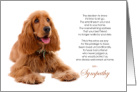 Cocker Spaniel Dog Pet Sympathy Euthanasia card