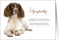 English Springer Spaniel Dog Pet Sympathy Euthanasia card