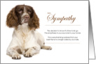 English Springer Spaniel Dog Pet Sympathy Euthanasia card