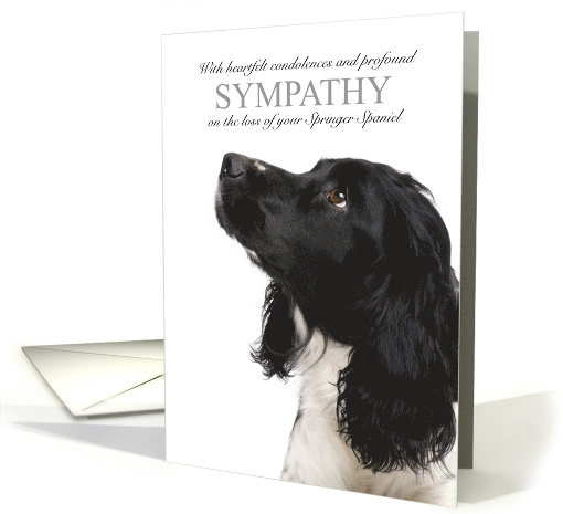 Springer Spaniel Dog Black Coloring Pet Sympathy Euthanasia card