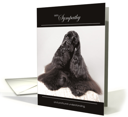 Black Cocker Spaniel Dog Pet Sympathy Euthanasia card (1522258)