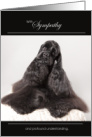 Black Cocker Spaniel Dog Pet Sympathy Euthanasia card