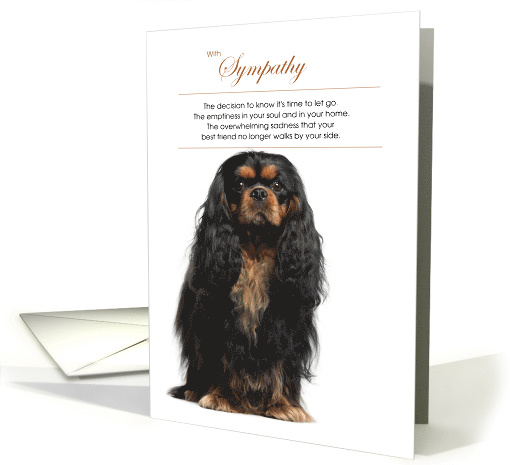 Black Cavalier King Charles Spaniel Dog Pet Sympathy card (1522260)