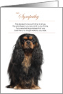 Black Cavalier King Charles Spaniel Dog Pet Sympathy card