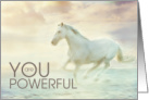 Encouragement White Stallion for Horse Lovers card