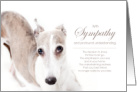 Greyhound Dog Pet Sympathy Euthanasia card