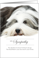 Old English Sheepdog Dog Pet Sympathy Euthanasia card