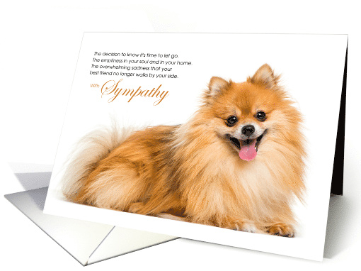 Pomeranian Dog Pet Sympathy Euthanasia card (1524582)