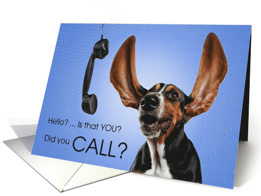 Hello? Funny Basset Hound Dog with a Phone card (1525164)