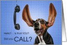 Hello? Funny Basset Hound Dog with a Phone card