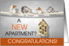 Funny New Apartment Congratulations Cats and Birds card