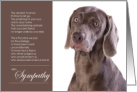 Weimaraner Dog Pet Sympathy Euthanasia card