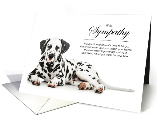 Dalmatian Dog Pet Sympathy Euthanasia card (1525804)