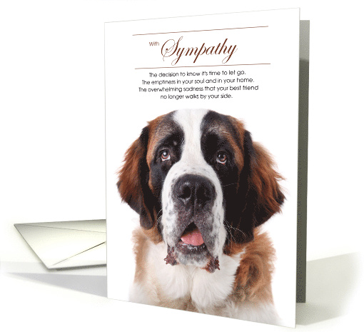 St. Bernard Dog Pet Sympathy Euthanasia card (1525808)