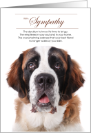 St. Bernard Dog Pet Sympathy Euthanasia card