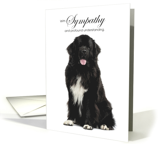 Newfoundland Dog Pet Sympathy Euthanasia card (1525812)