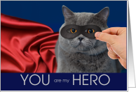 Gray Cat with a Mask and Red Cape Hero Thank You card