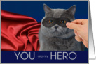 Gray Cat with a Mask and Red Cape Hero Thank You card