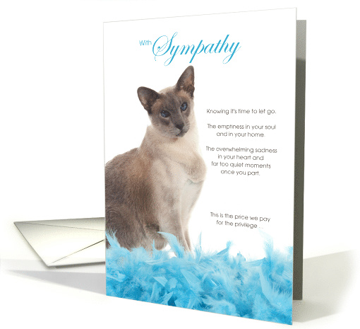 Blue Point Siamese Cat Pet Sympathy Euthanasia card (1527764)