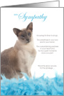 Blue Point Siamese Cat Pet Sympathy Euthanasia card