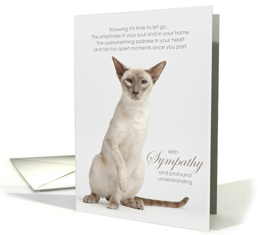 Lilac Point Siamese Cat Pet Sympathy Euthanasia card (1527770)