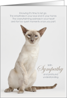 Lilac Point Siamese Cat Pet Sympathy Euthanasia card